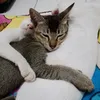 niiiiiiiiiiiiii9375