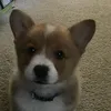 nqcngusi