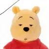 gaupoohbunngu