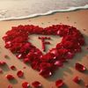ch_faisal.sandhu