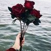 emailalso291