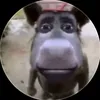 stas_aboba6