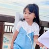 iphon_2020