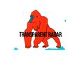 transparentradar