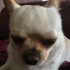 katya_top0