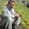 azwarkazm
