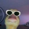 swagxcoool