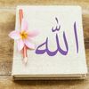 merab......438