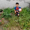 gqte1
