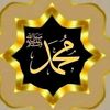 mohamedfahmy8381