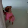 suonxaochuaaa