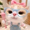 nguyenxyenslinhh