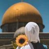 aqsa.a9