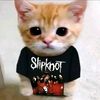 darkspirit76