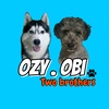 ozy.obi