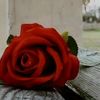 user80060224921484