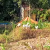 nguyenvanhai2638