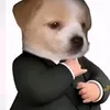 tiktok_toann05