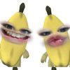 ayyatlftrii