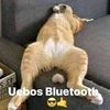 marcos78901278