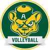 Golden Bears Volleyball