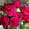 mayzioo3