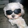 bobb1blaq2