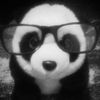 panda.sllx