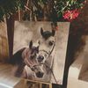 hado_9h