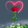 user3877342336500