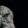 ikram_king007