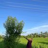 devikamajhi28