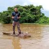 gatotpunggur