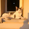ericduchaud