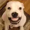 mano_pedro123