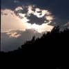 bittersweet_176