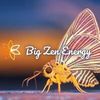 bigzenenergy5