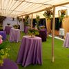 angelic_royal_events