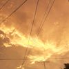 ady_4011