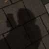 laasptr_