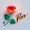 flor.edilma