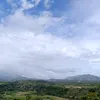 cg12345eg