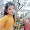 nh.13122023