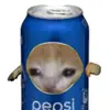 pepsi_cat69