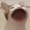 taonickchovui123