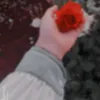 alakabr.erty_
