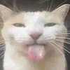 ajdontknowanymore