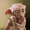 jierosejavier0