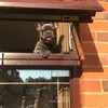 msmarleylondon