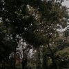 nadomohammad2